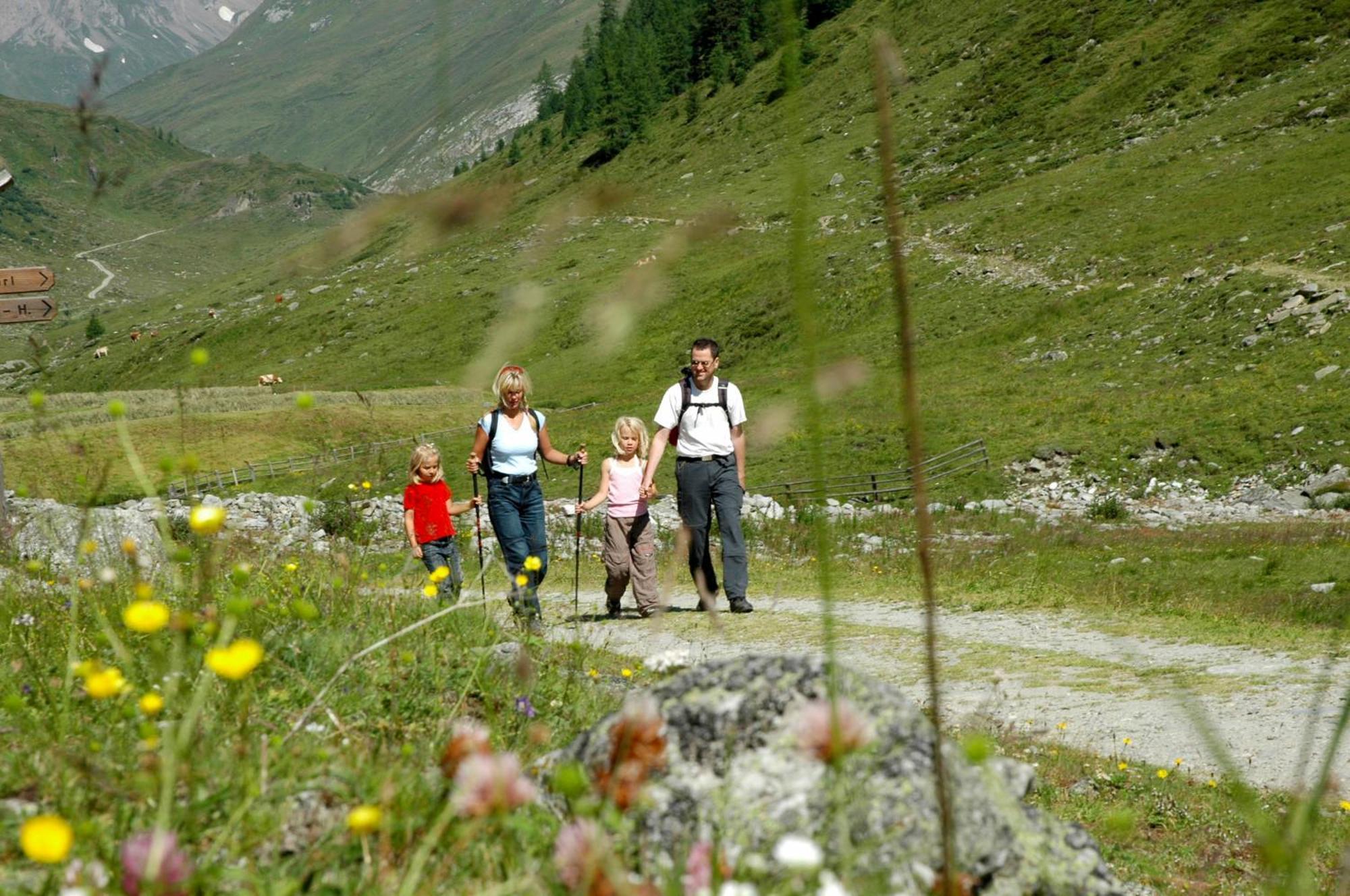 Alpengasthof Pichler Sankt Veit in Defereggen Bagian luar foto